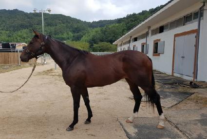 ����Ǯ��ó ����