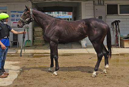 ���庸�� ����