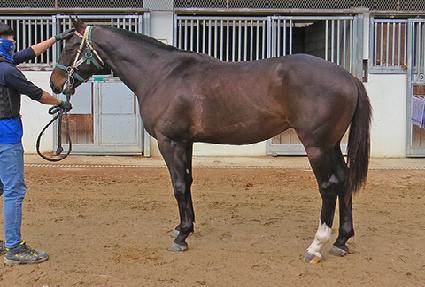 ī�캸���ʰ� ����