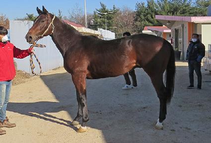 �򿡳��� ����