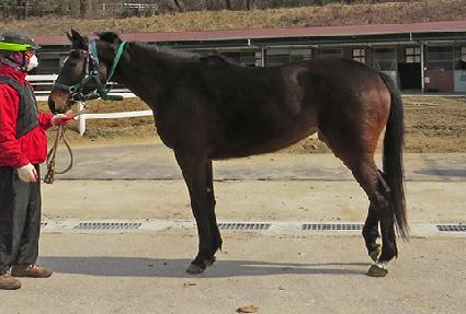 ��ƶ�ٹ� ����