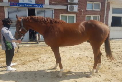 ���������̽� ����