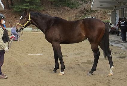 ���ξ��� ����