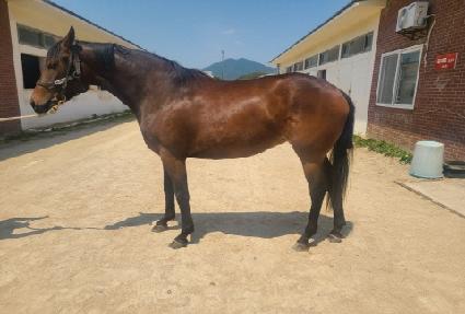 ��Ʈ����Ŀ ����