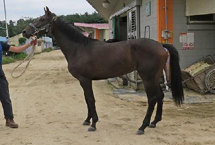 �������� ����