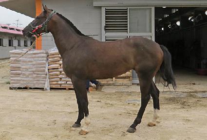 ����Ǯ��Ŀ�� ����