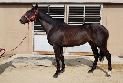 ����Ǯ��ũ�� ����