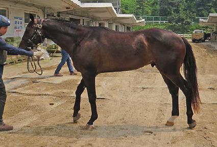 �����극�̽� ����