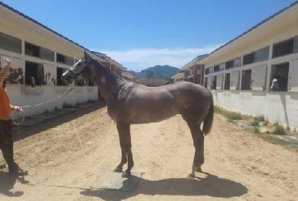 �ɰ����� ����