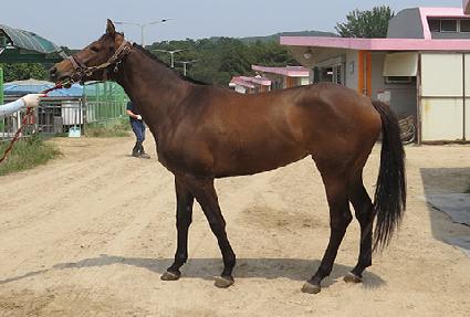 ���׸���Ŀ ����