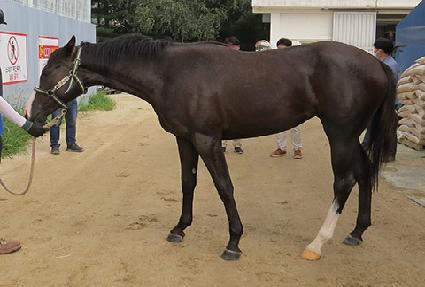 õ�⿩�� ����