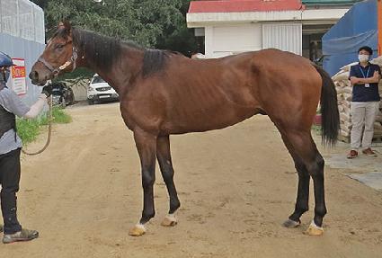 ��Ű���� ����