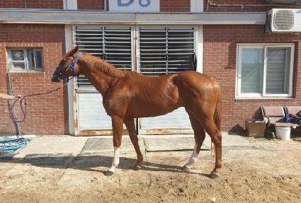 �۷θ�ŷ ����