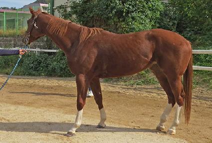 �׷���Ʈ�� ����