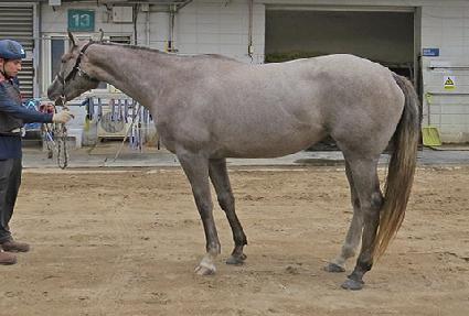 �ǹ���ư ����