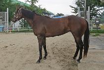 �۷θ�ĭ (GLORY KHAN) ����