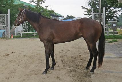 �۷θ�ĭ ����