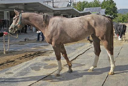 ������� ����