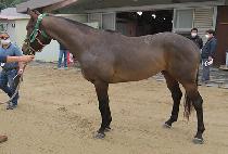 �����̽� (TWO ACE) ����