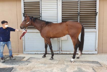 ���ʽ��� ����