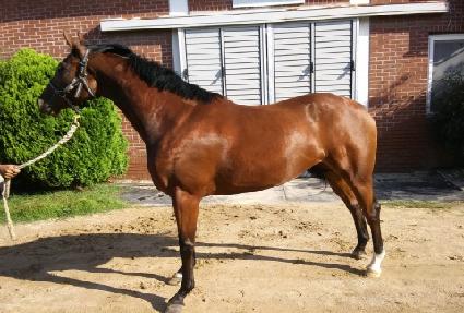 ����Ʈ�Լ� ����