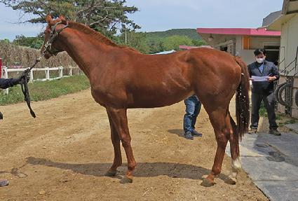 ���� ����