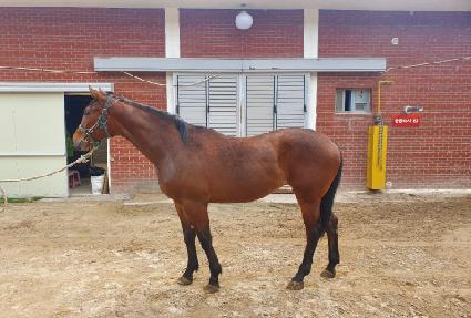 ���װ� ����