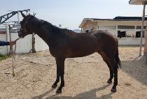 ���̸ս�ȭ (SIMON SINHWA) ����