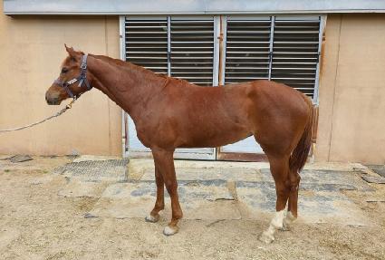 ��ٸ������� ����