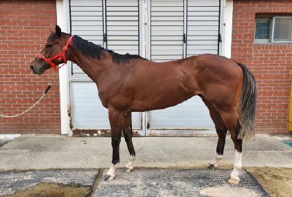 ���ʺ�Ÿ ����