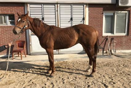 è�Ǿ�ô� ����