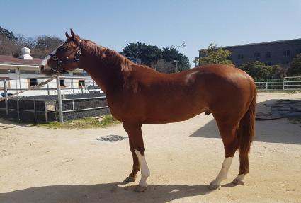 ǻ��ŷ ����