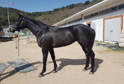 ��巰 ����