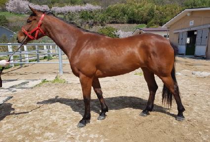 �Ծȿ��׻� ����