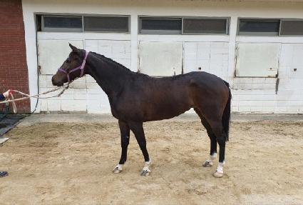 ��Ʈ����Ʈ�� ����