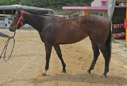 ���ø�Ʈ��Ÿ ����