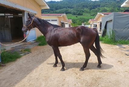 �׷���Ʈ�� ����