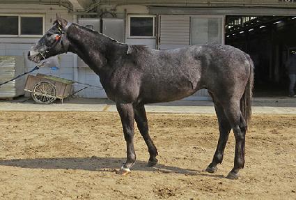 ����¯ ����