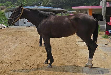 ����Ʈ��� ����