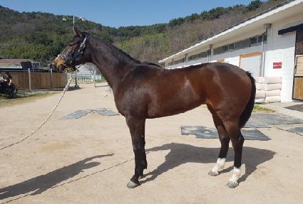 ������ġ ����