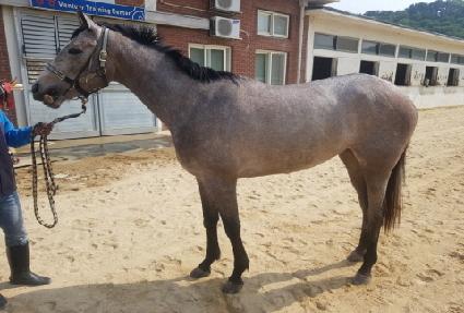 �������Ŀ� ����