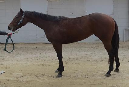 ��Űõ�� ����