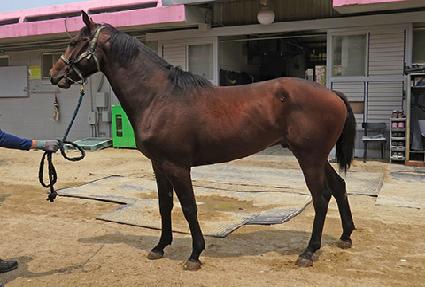 �������� ����