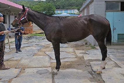 �ڷν� ����