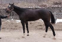 ��Ͻô� (SANGNOK SIDAE) ����