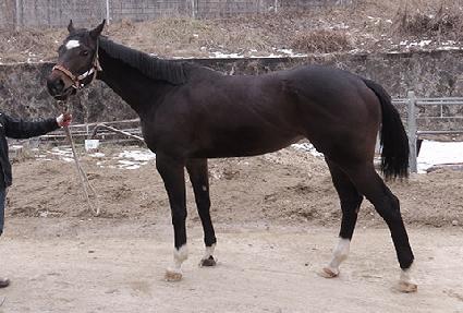 ��Ͻô� ����