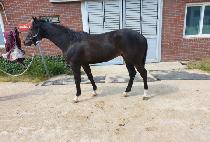 �������̿� (K K WON) ����