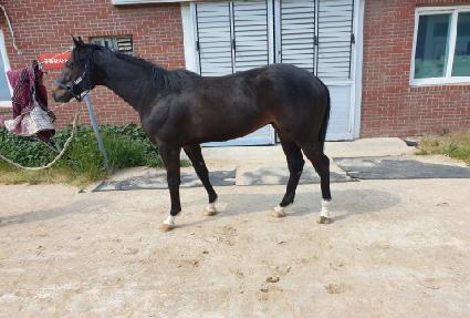 �������̿� ����