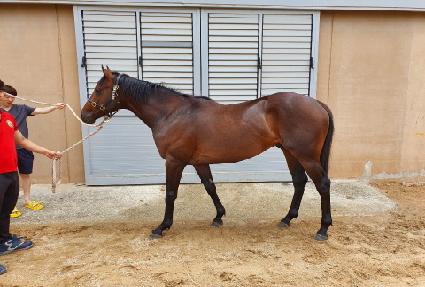 �ִ϶��� ����