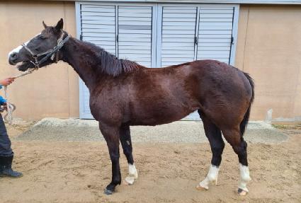 ��� ����